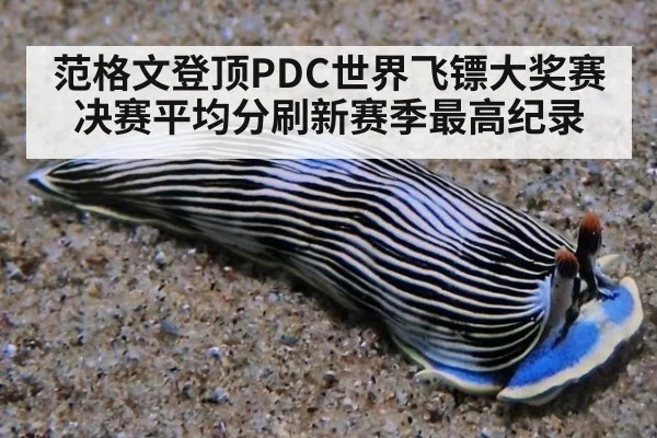 范格文登顶PDC世界飞镖大奖赛 决赛平均分刷新赛季最高纪录